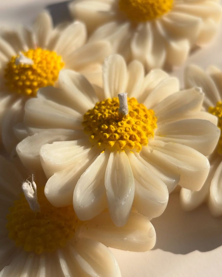 Daizy Scented Floating Candle